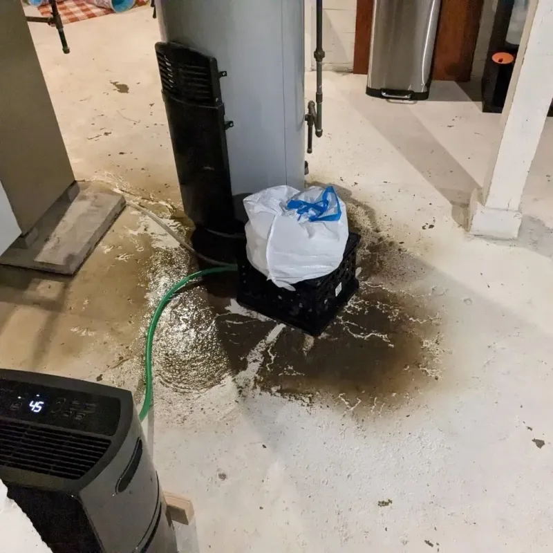 Sewage Backup Cleanup Service in Houston County, AL